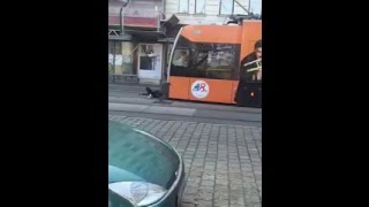 Tak tohle je podívaná za všechny peníze. Uprchlík kope do tramvaje, skáče po autě, svléká se a potom...